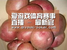 产品展示标题1