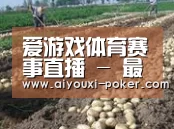 种植基地七(图1)