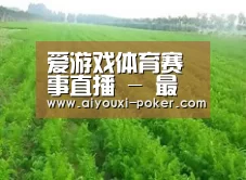 种植基地四