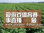 种植基地五