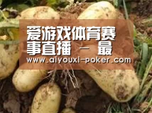 产品展示标题2