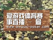 种植基地八(图1)