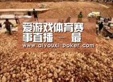 种植基地二